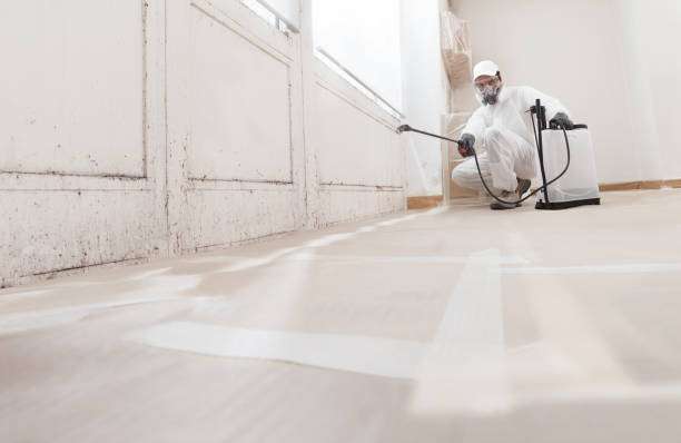24/7 Emergency Commercial Mold Remediation experts in Union City, GA