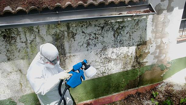 Top rated local Commercial Mold Remediation specialists in Union City, GA